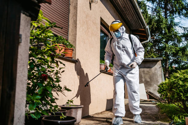 Best Best Pest Control Companies  in Mountain Home, AR