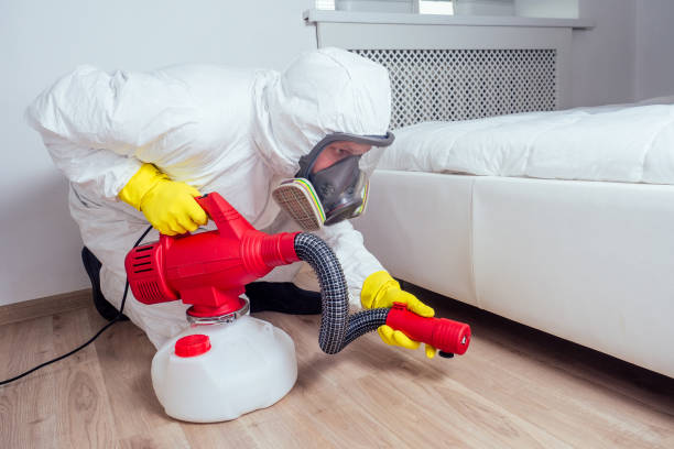 Best Commercial Pest Control Services  in Mountain Home, AR