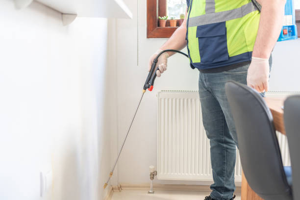 Best Local Pest Control Services  in Mountain Home, AR